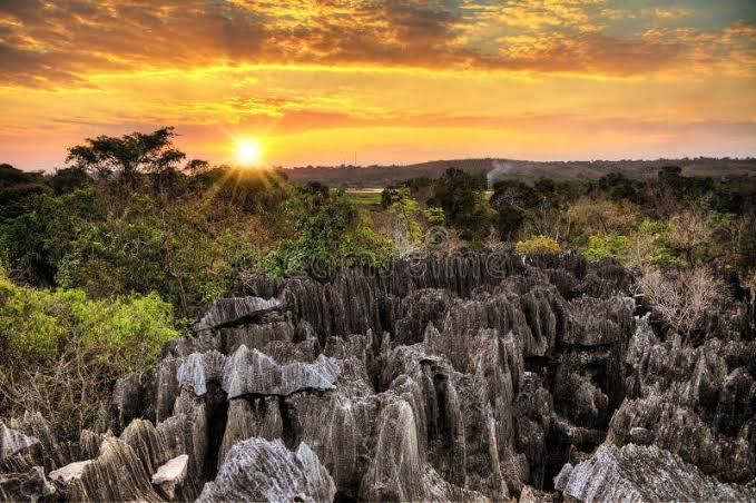 Sunset light over the limestone pinnacles and forest canopy of the Petit Tsingy de Bemaraha