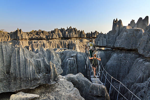 A hiker with a harness crossing a rope-and-plank suspension bridge among the limestone pinnacles of the Grand Tsingy de Bemaraha